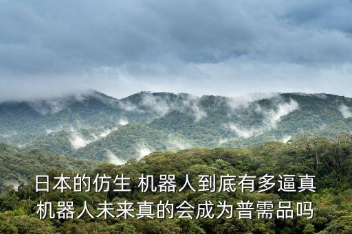 機(jī)器人制造日本,日本制造的機(jī)器人媳婦