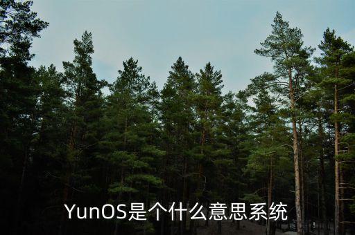 yunos，YunOS是個(gè)什么意思系統(tǒng)