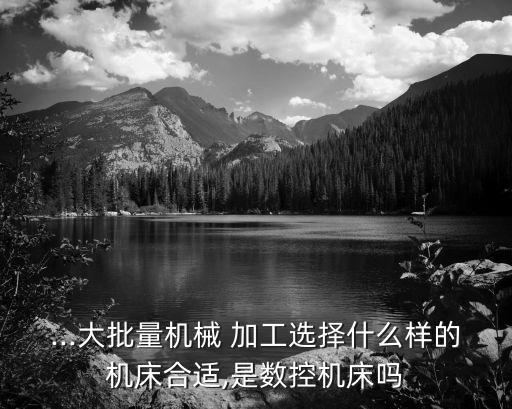 ...大批量機(jī)械 加工選擇什么樣的機(jī)床合適,是數(shù)控機(jī)床嗎