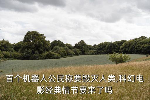 首個機器人公民稱要毀滅人類,科幻電影經(jīng)典情節(jié)要來了嗎