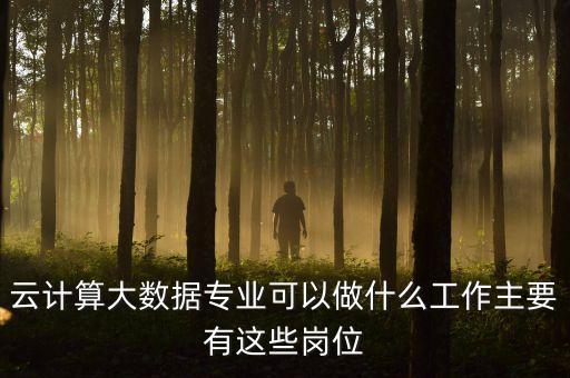 云計(jì)算與大數(shù)據(jù)就業(yè),大數(shù)據(jù)和云計(jì)算哪個(gè)就業(yè)前景好?