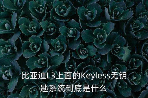 比亞迪L3上面的Keyless無鑰匙系統(tǒng)到底是什么