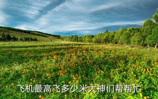 飛機(jī)最高飛多少米大神們幫幫忙