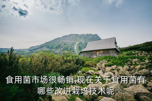 食用菌市場(chǎng)很暢銷,現(xiàn)在關(guān)于食用菌有哪些改進(jìn)栽培技術(shù)呢