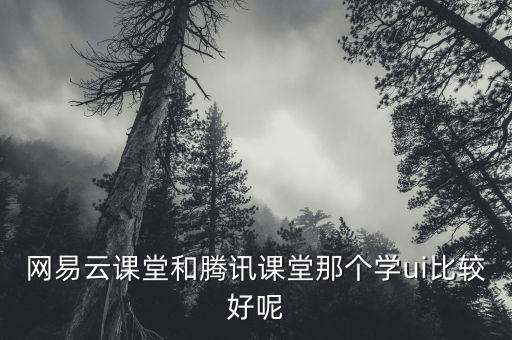 網(wǎng)易云課堂和騰訊課堂那個學ui比較好呢