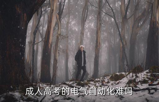 成人高考的電氣自動(dòng)化難嗎