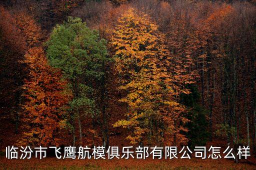 臨汾市飛鷹航模俱樂(lè)部有限公司怎么樣