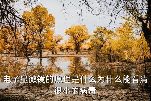 電子顯微鏡原理，電子顯微鏡的工作原理