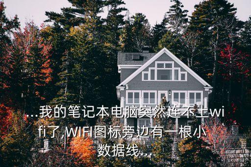 ...我的筆記本電腦突然連不上wifi了,WIFI圖標(biāo)旁邊有一根小 數(shù)據(jù)線...