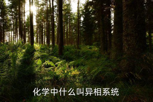 異相，電的同相與異相是什么意思請解釋詳細(xì)一點謝謝了