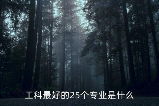 工科最好的25個專業(yè)是什么
