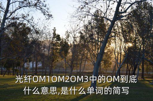 光纖OM1OM2OM3中的OM到底什么意思,是什么單詞的簡寫