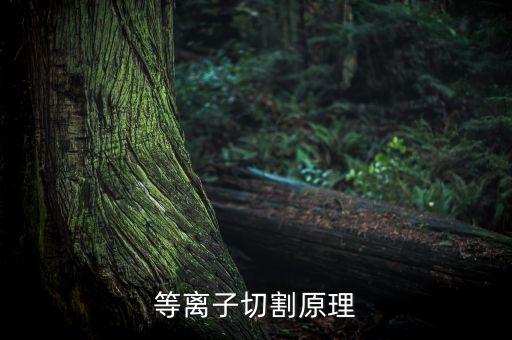 等離子切割原理