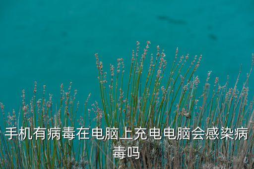 手機有病毒在電腦上充電電腦會感染病毒嗎