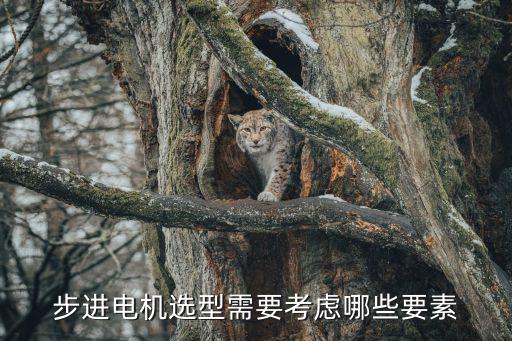自動化公司電機選型要求,電機怎么選型?注意事項