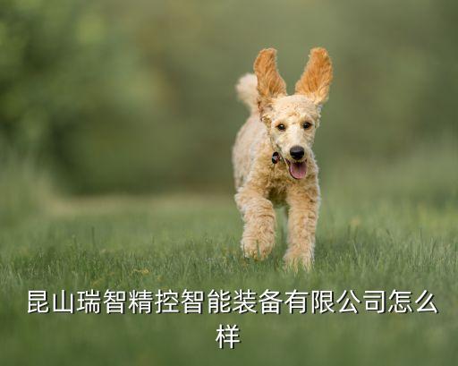  昆山瑞智精控智能裝備有限公司怎么樣