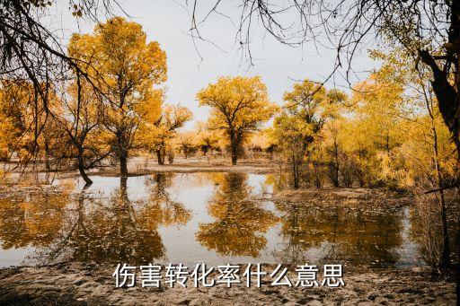 轉(zhuǎn)換率,可轉(zhuǎn)換債券轉(zhuǎn)換比率＝債券面值／轉(zhuǎn)換價格