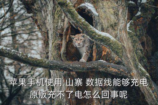 蘋果手機(jī)使用 山寨 數(shù)據(jù)線能夠充電原版充不了電怎么回事呢
