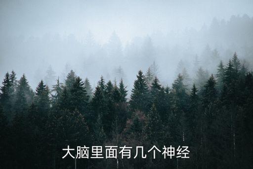 大腦有多少神經(jīng)元，大腦皮層約有多少個神經(jīng)元