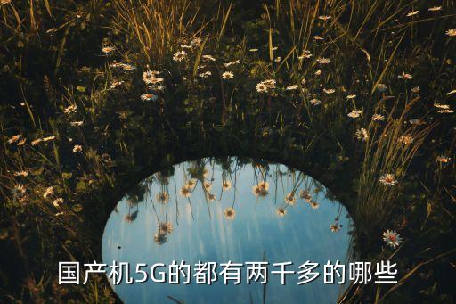 國產機5G的都有兩千多的哪些