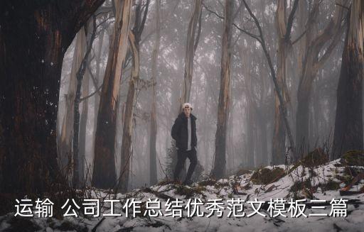 運(yùn)輸 公司工作總結(jié)優(yōu)秀范文模板三篇