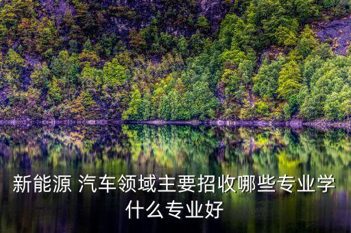 新能源 汽車領域主要招收哪些專業(yè)學什么專業(yè)好
