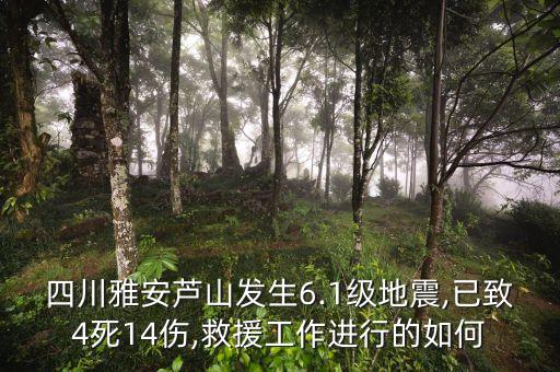 四川雅安蘆山發(fā)生6.1級地震,已致4死14傷,救援工作進(jìn)行的如何