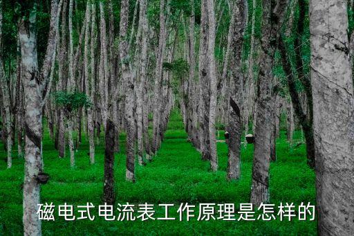 磁電式電流表，物理磁電式電流表