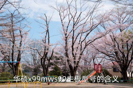華碩x99mws99主板型號(hào)的含義