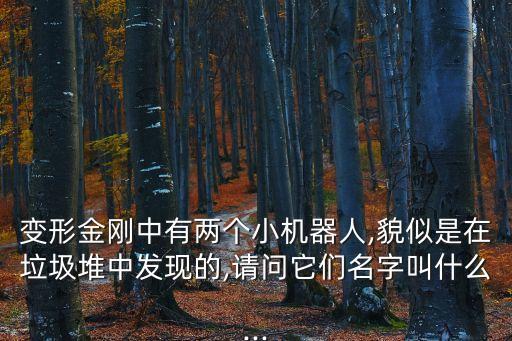 變形金剛中有兩個小機器人,貌似是在垃圾堆中發(fā)現(xiàn)的,請問它們名字叫什么...