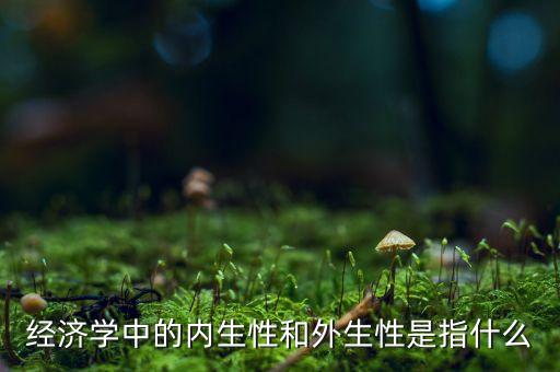 內(nèi)生性，內(nèi)生性的介紹