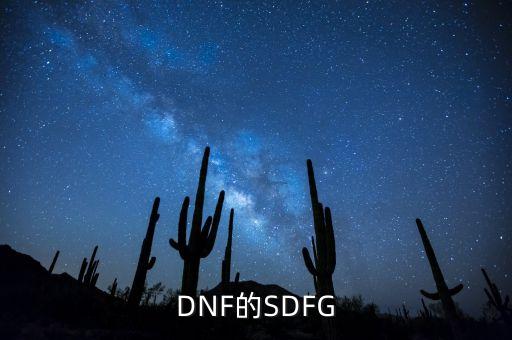 DNF的SDFG