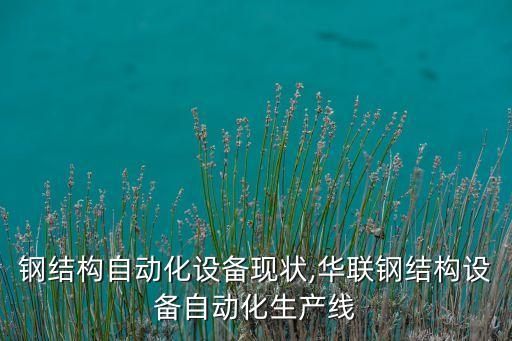 鋼結構自動化設備現狀,華聯(lián)鋼結構設備自動化生產線