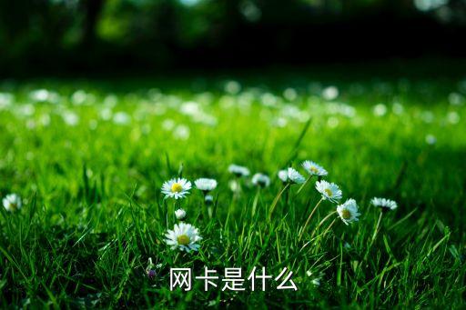 網(wǎng)卡是什么