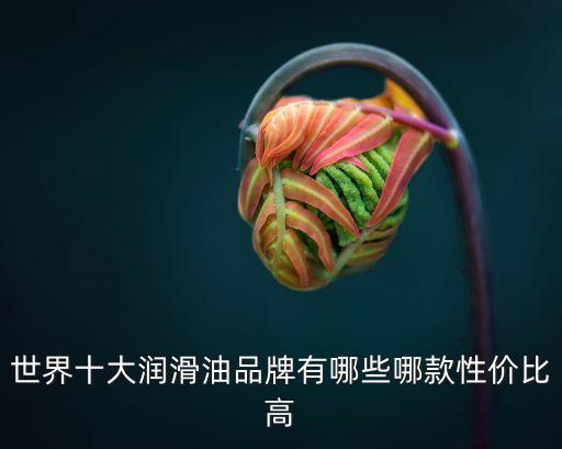 世界十大潤(rùn)滑油品牌有哪些哪款性價(jià)比高