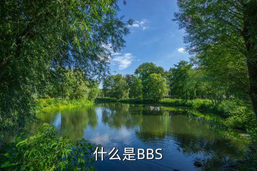 什么是BBS