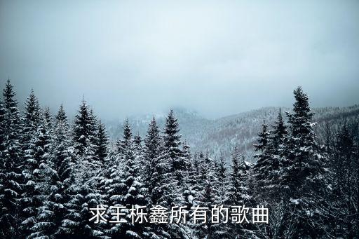 求王櫟鑫所有的歌曲