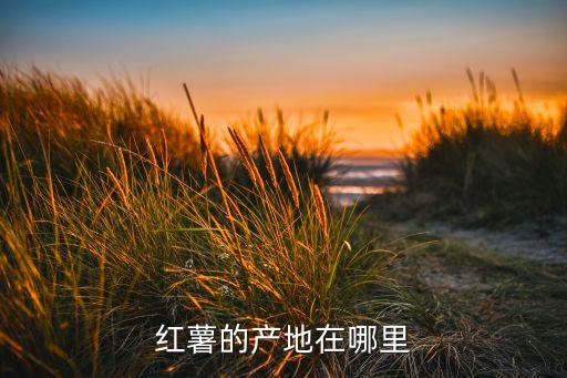 安徽甘薯自動(dòng)化有限公司,甘薯是怎么一回事?
