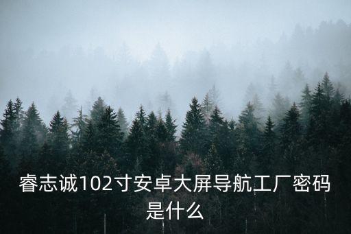 睿志誠102寸安卓大屏導航工廠密碼是什么