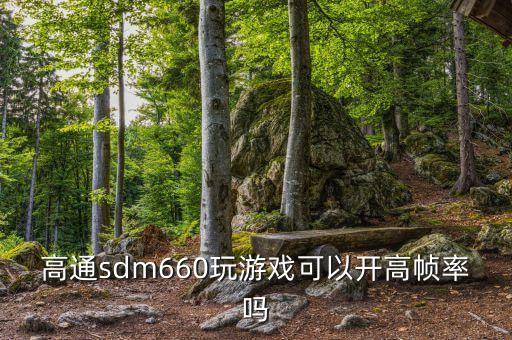 高通sdm660玩游戲可以開(kāi)高幀率嗎