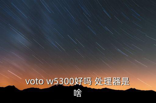 voto w5300好嗎 處理器是啥