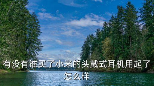 有沒(méi)有誰(shuí)買(mǎi)了小米的頭戴式耳機(jī)用起了怎么樣