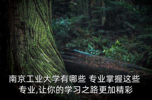 南京工業(yè)大學有哪些 專業(yè)掌握這些 專業(yè),讓你的學習之路更加精彩