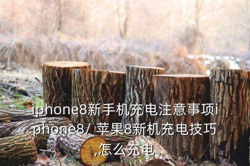 蘋果8數(shù)據(jù)線頭字,蘋果手機送的數(shù)據(jù)線頭是怎么用的