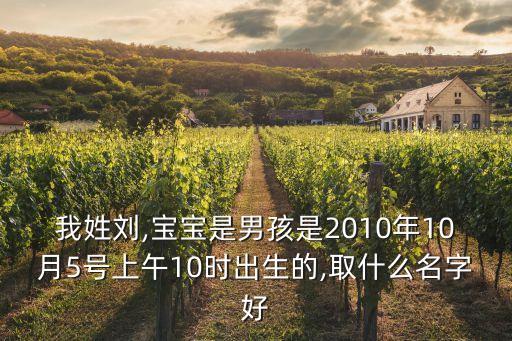 我姓劉,寶寶是男孩是2010年10月5號(hào)上午10時(shí)出生的,取什么名字好