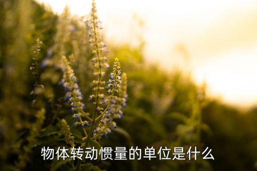 轉動慣量的單位，物體轉動慣量的單位是什么