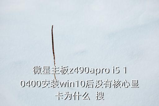 微星主板z490apro i5 10400安裝win10后沒有核心顯卡為什么  搜