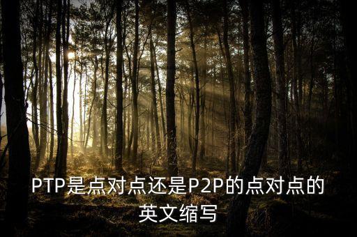 PTP是點(diǎn)對(duì)點(diǎn)還是P2P的點(diǎn)對(duì)點(diǎn)的英文縮寫(xiě)
