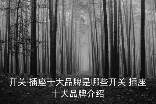 開關(guān) 插座十大品牌是哪些開關(guān) 插座十大品牌介紹