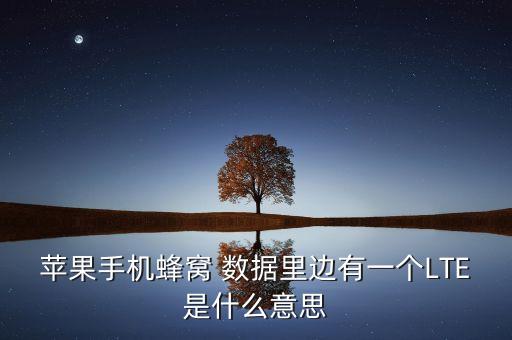 蘋果手機(jī)蜂窩 數(shù)據(jù)里邊有一個LTE是什么意思